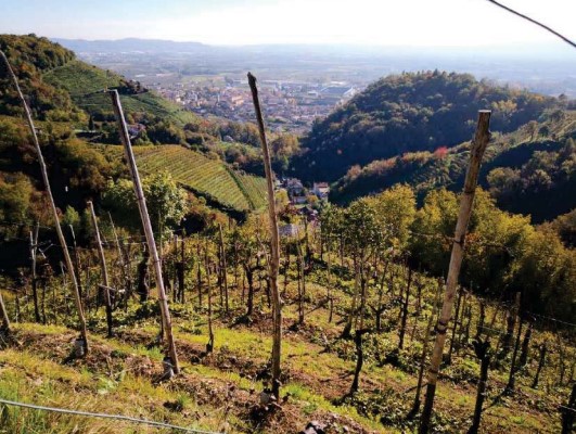 Terreno residenziale in vendita a farra-di-soligo - Terreno residenziale in vendita a farra-di-soligo