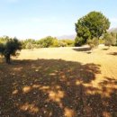 Terreno agricolo monolocale in vendita a Prata Sannita