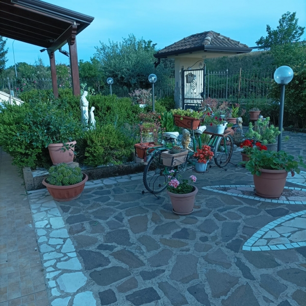 immagine annuncio 4 di 5
