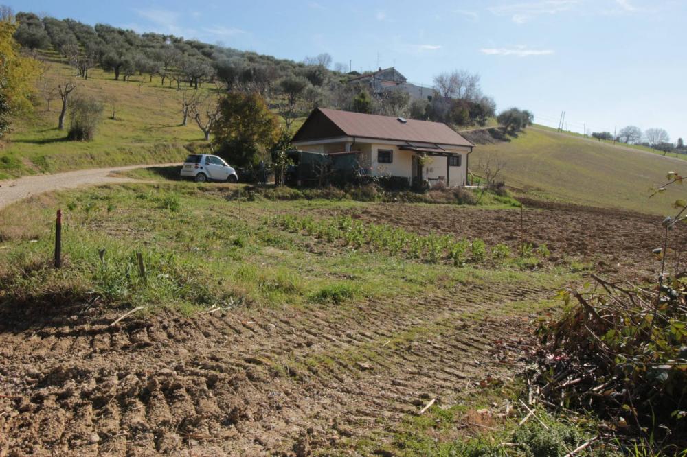 terreno agricolo in vendita a Tortoreto