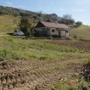 Terreno agricolo in vendita a Tortoreto