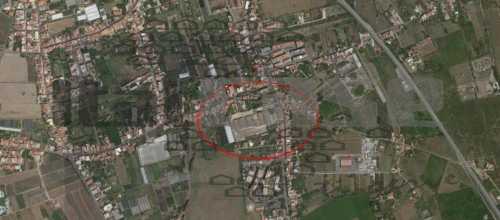 immagine annuncio 1 di 2