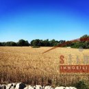 Terreno agricolo in vendita a Siracusa