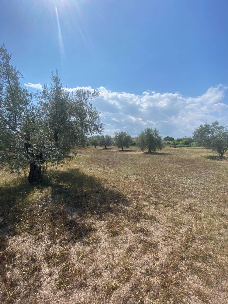 Terreno agricolo in vendita a Fermo - Terreno agricolo in vendita a Fermo