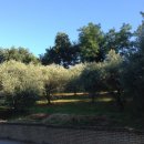 Terreno residenziale in vendita a Montegiorgio