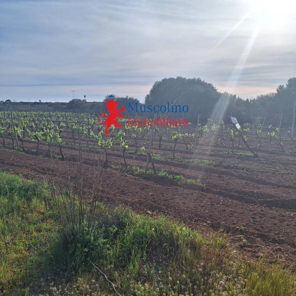 terreno agricolo in vendita a Mazara del Vallo