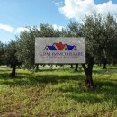 Terreno agricolo in vendita a Mazara del Vallo