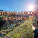 Terreno agricolo in vendita a Altofonte