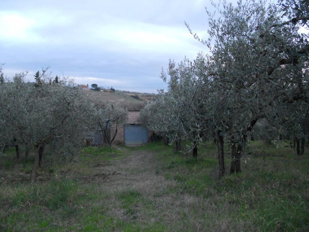 immagine annuncio 1 di 4