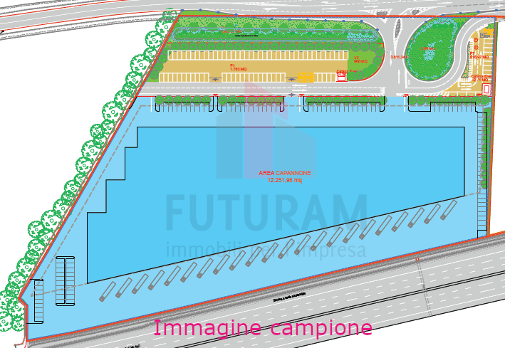 immagine annuncio 1 di 4