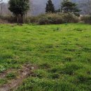 Terreno agricolo in vendita a prato