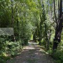 Villa plurilocale in vendita a quinto-di-treviso