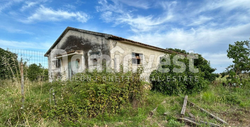 Rustico / casale plurilocale in vendita a capalbio - Rustico / casale plurilocale in vendita a capalbio