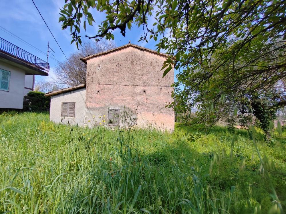 immagine annuncio 1 di 4