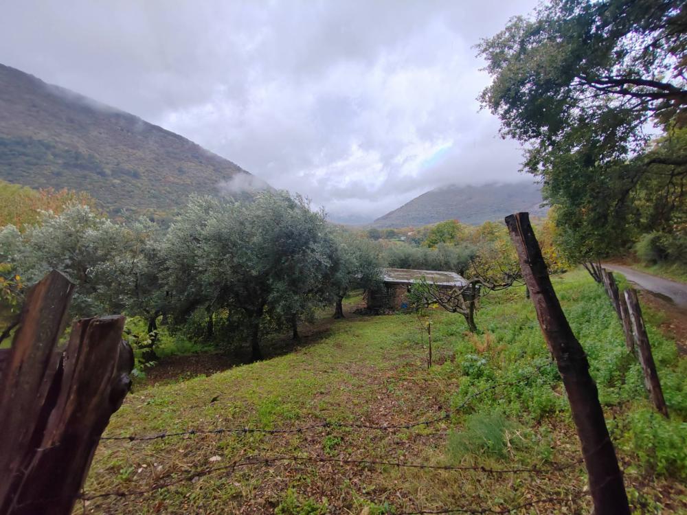immagine annuncio 2 di 3
