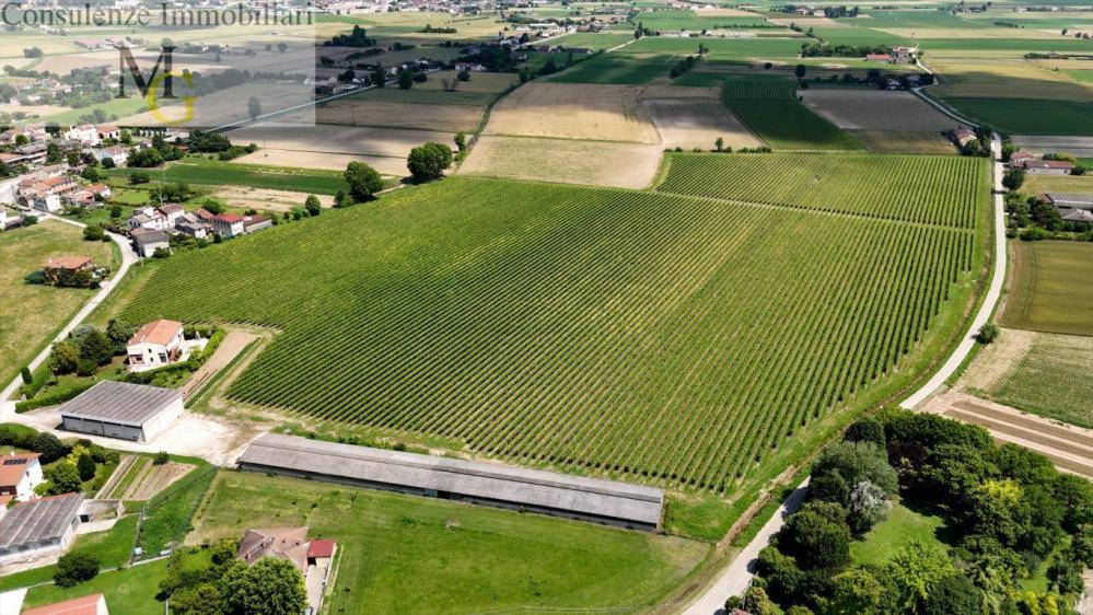 Terreno agricolo in vendita a Pojana Maggiore - Terreno agricolo in vendita a Pojana Maggiore