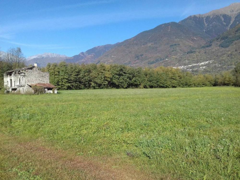 immagine annuncio 2 di 3