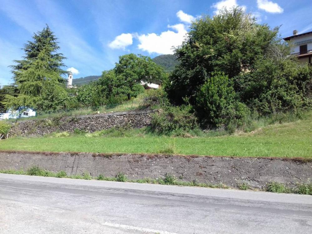 immagine annuncio 2 di 3