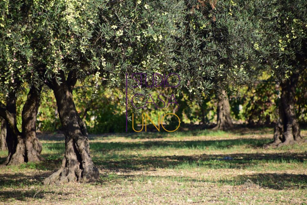 Terreno agricolo monolocale in vendita a - Terreno agricolo monolocale in vendita a