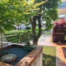 Bifamiliare plurilocale in vendita a castelfranco-veneto