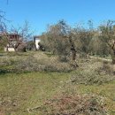 Terreno residenziale in vendita a Colli del Tronto