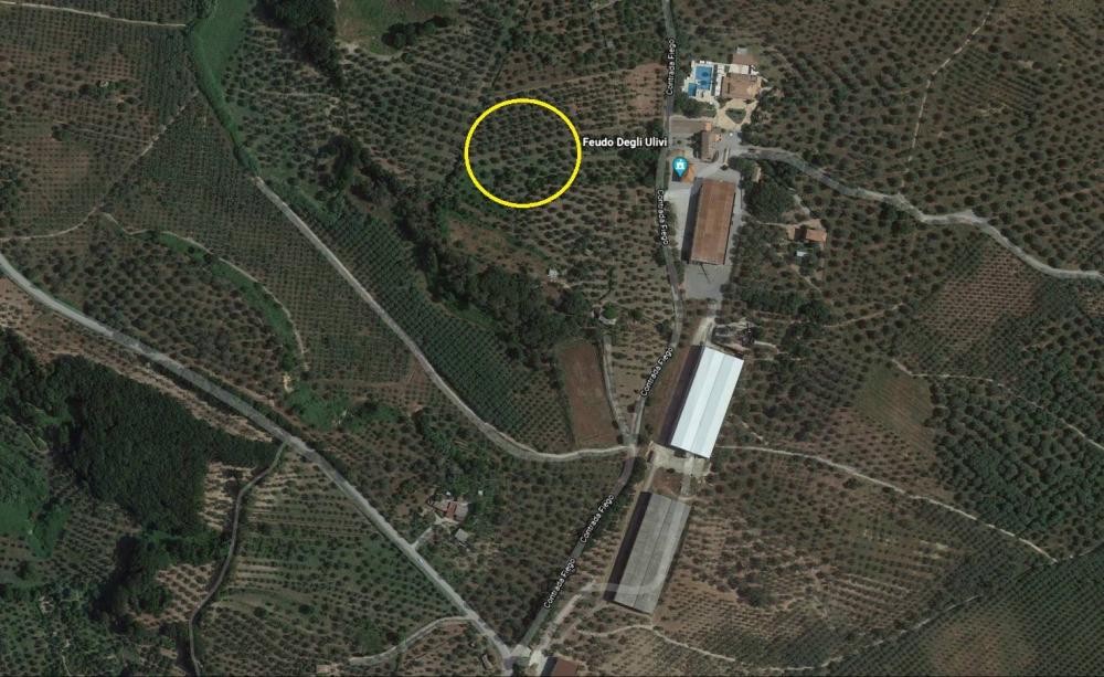 immagine annuncio 3 di 4