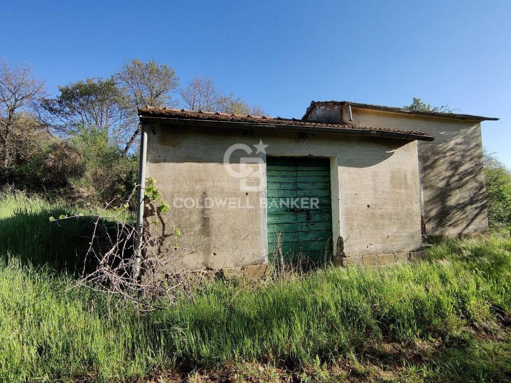 Rustico / casale trilocale in vendita a Ischia di Castro - Rustico / casale trilocale in vendita a Ischia di Castro