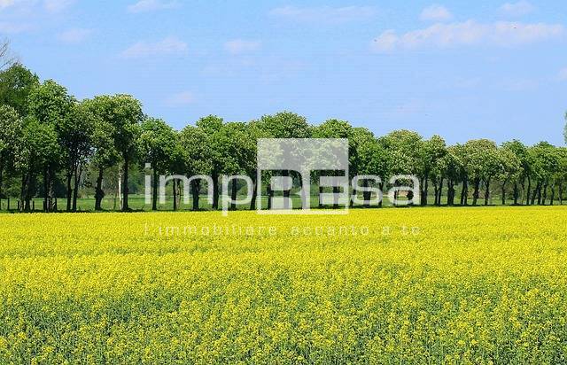 Terreno agricolo in vendita a Montebelluna - Terreno agricolo in vendita a Montebelluna