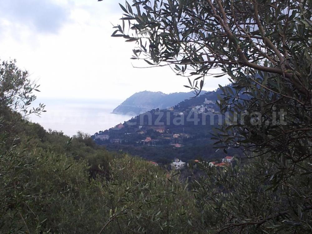 terreno agricolo in vendita a Alassio