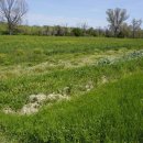 Terreno agricolo in vendita a Controguerra