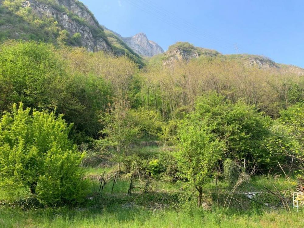 terreno agricolo in vendita a Darfo Boario Terme