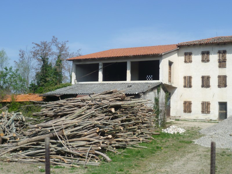 immagine annuncio 2 di 4