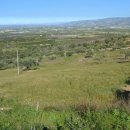 Terreno residenziale in vendita a noto