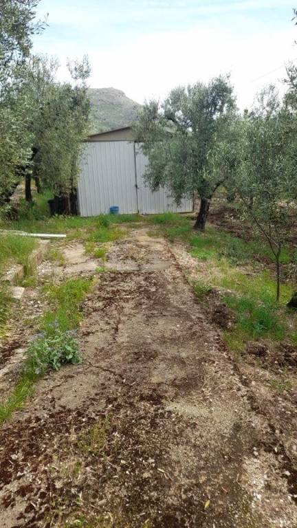 terreno agricolo in vendita a Formia