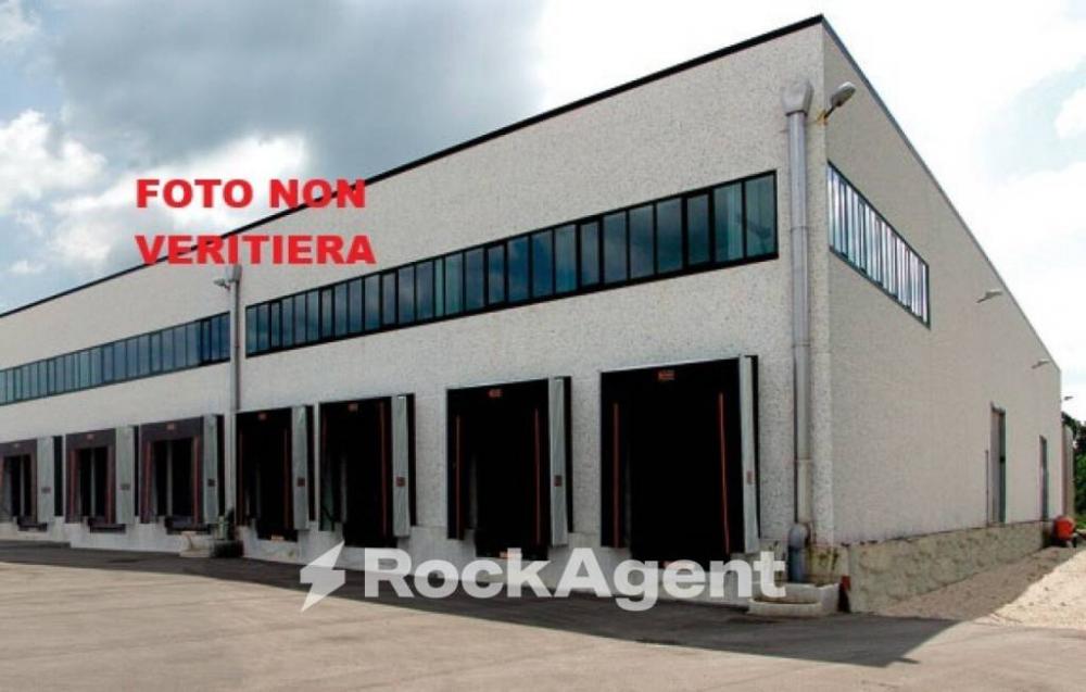 immagine annuncio 1 di 4