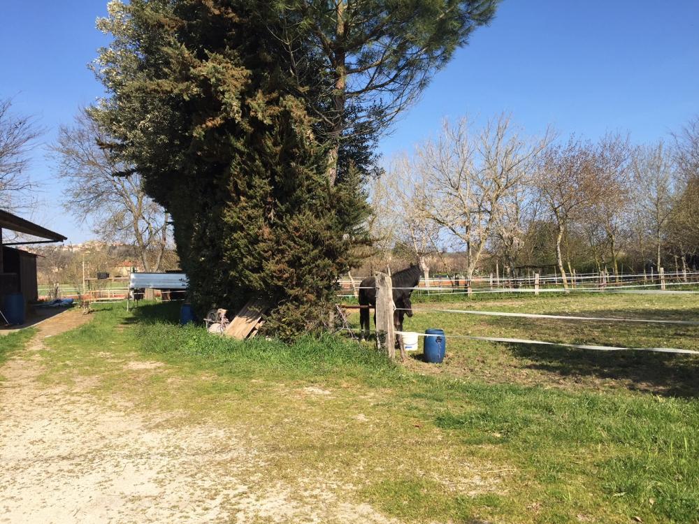 immagine annuncio 1 di 4