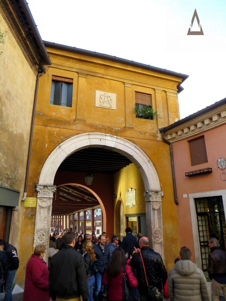immagine annuncio 3 di 5
