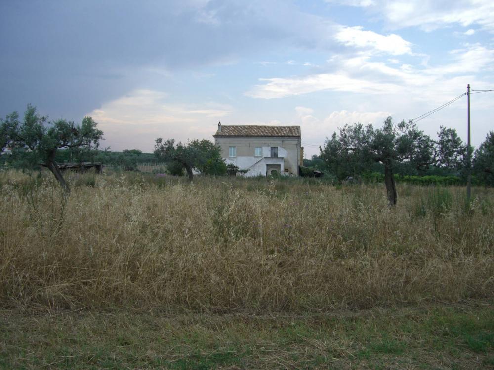 immagine annuncio 1 di 3