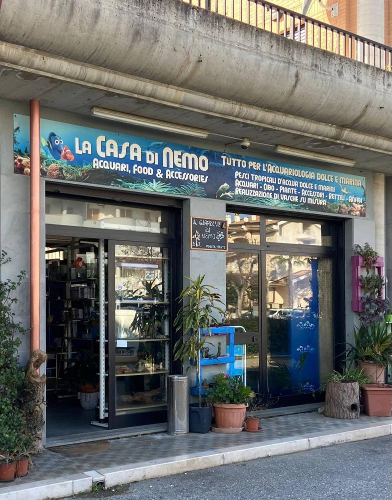 immagine annuncio 1 di 5