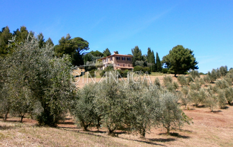 Rustico / casale plurilocale in vendita a chianni - Rustico / casale plurilocale in vendita a chianni