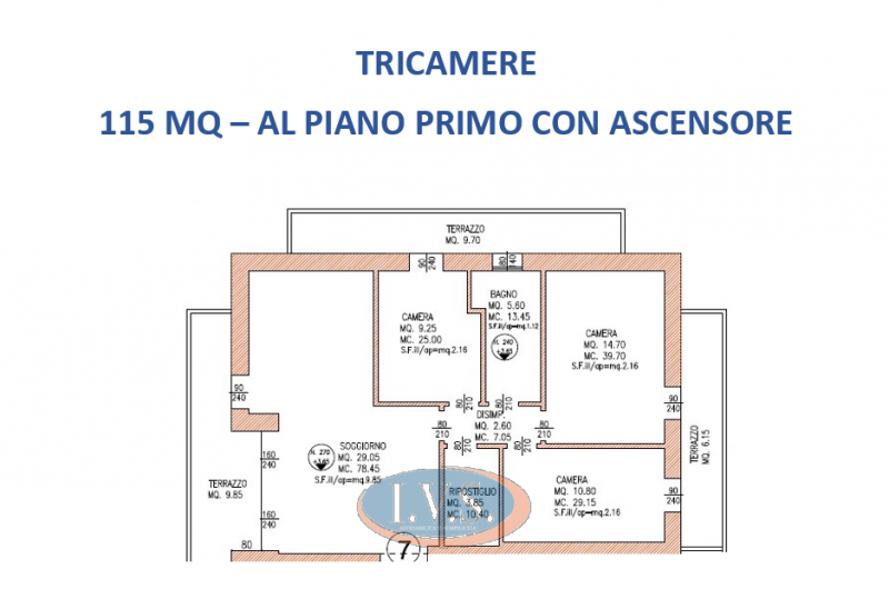 immagine annuncio 3 di 5