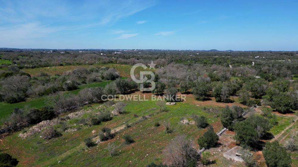 Terreno agricolo in vendita a Ostuni - Terreno agricolo in vendita a Ostuni