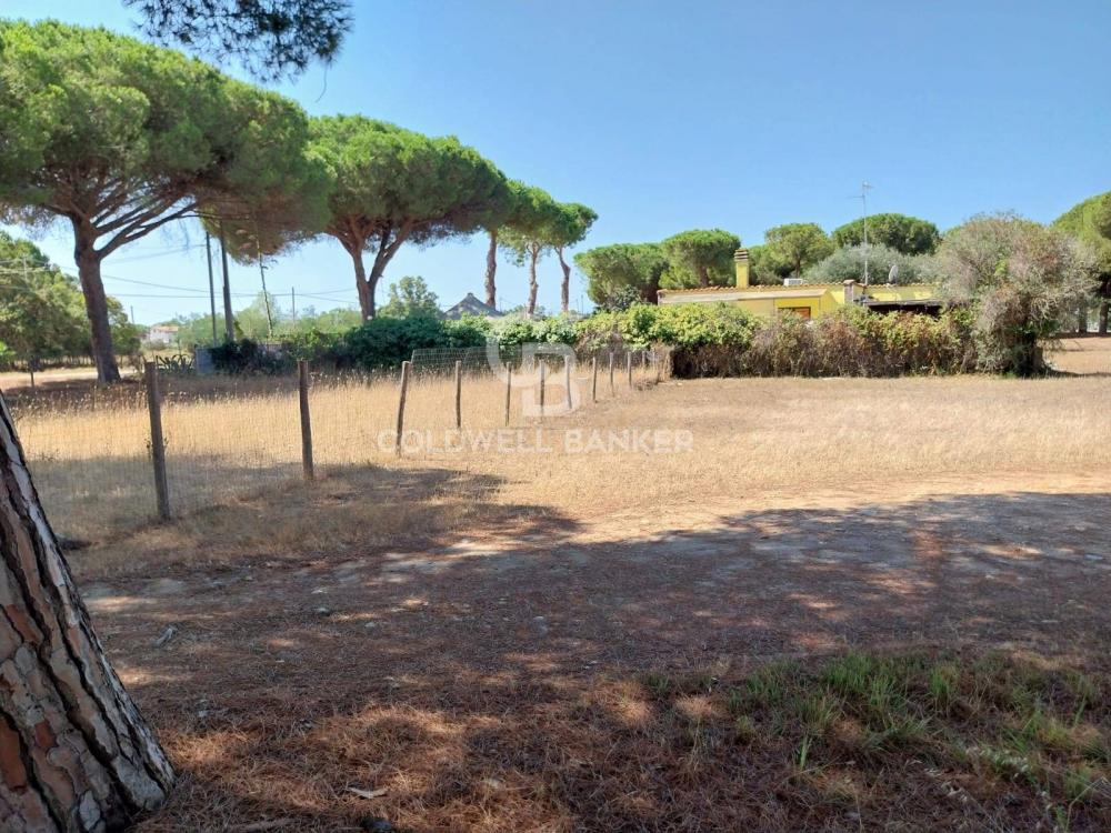 terreno agricolo in vendita a Tarquinia