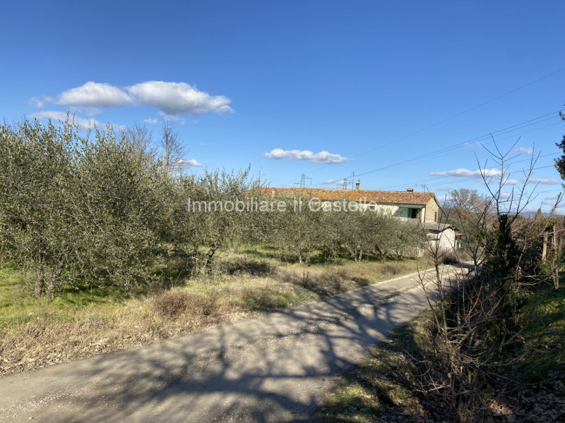 terreno residenziale in vendita a Castiglione del Lago