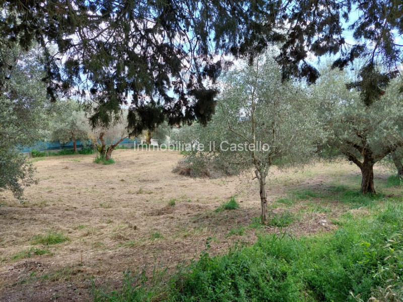 immagine annuncio 2 di 4