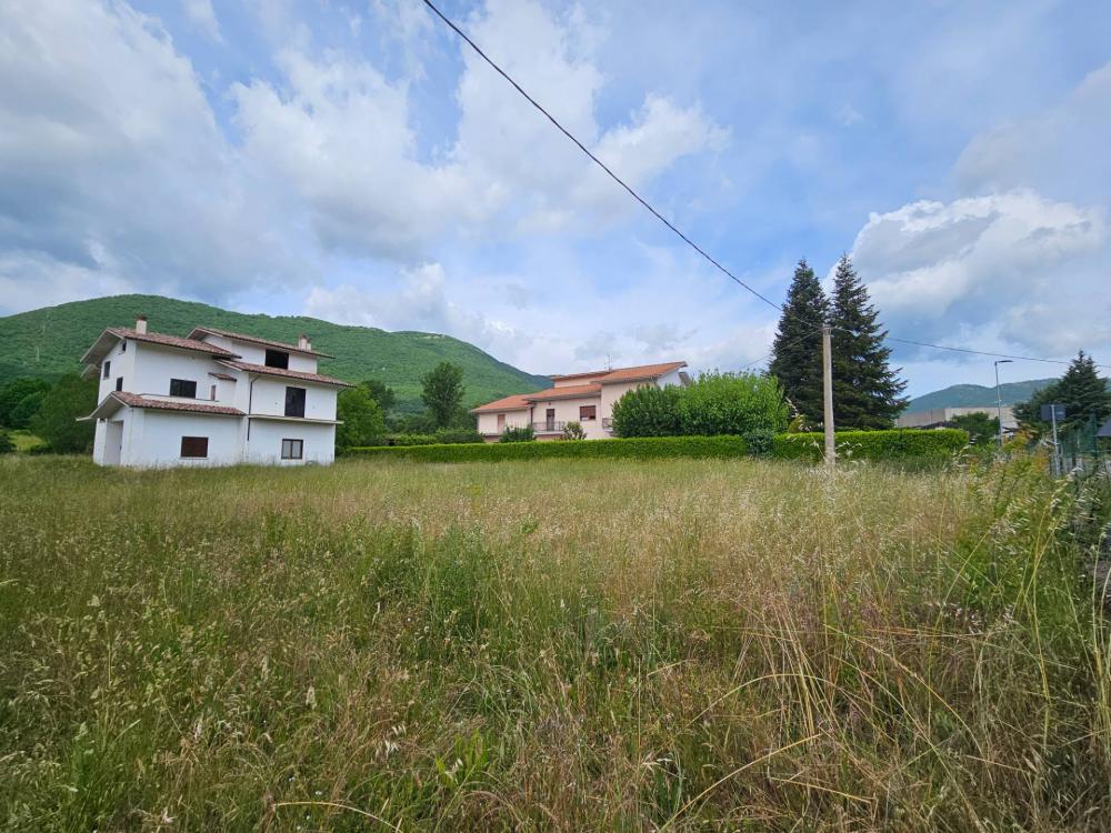 immagine annuncio 2 di 4