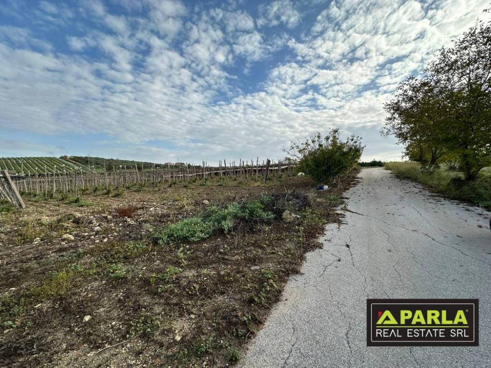 532dfea7e2a3f53adf63b09ffb687f89 - Terreno agricolo in vendita a Canicattì