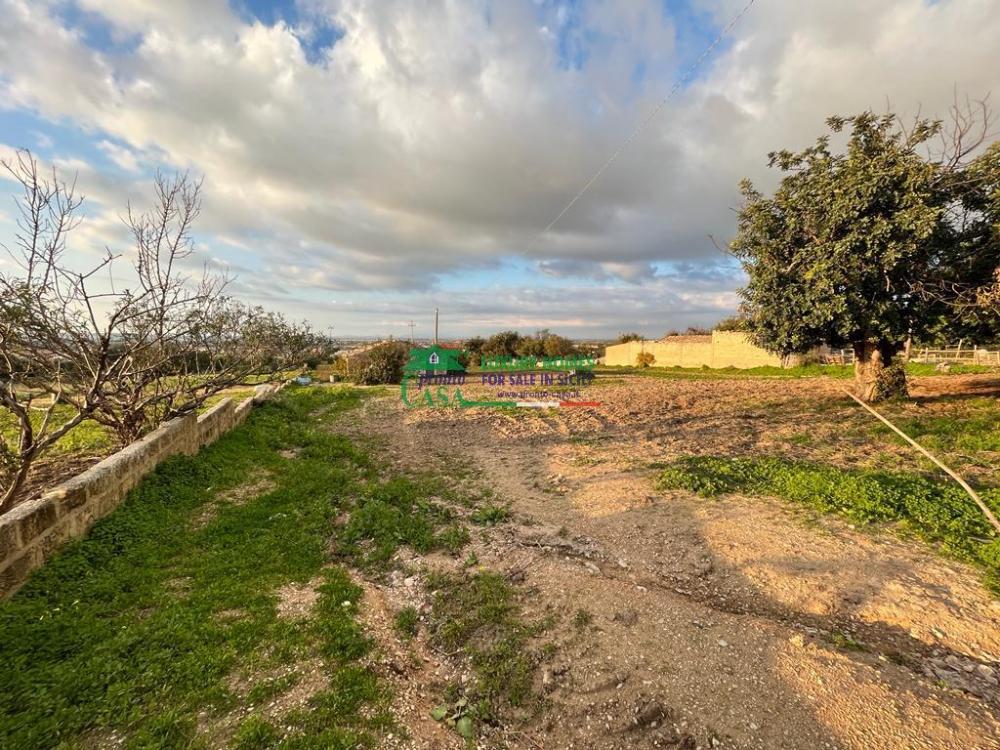 terreno agricolo in vendita a Comiso