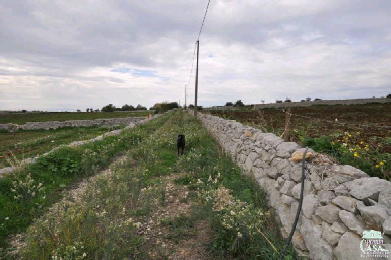 terreno agricolo in vendita a Ragusa