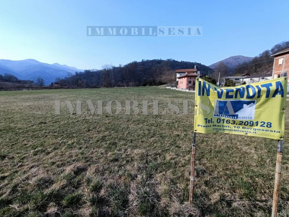 Terreno residenziale in vendita a borgosesia - Terreno residenziale in vendita a borgosesia